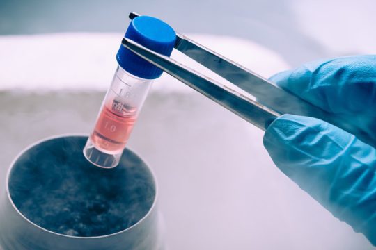 The International Association of Stem Cell & Regenerative Medicine (IASRM )
