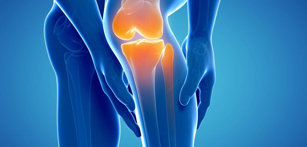 The International Association of Stem Cell & Regenerative Medicine (IASRM )