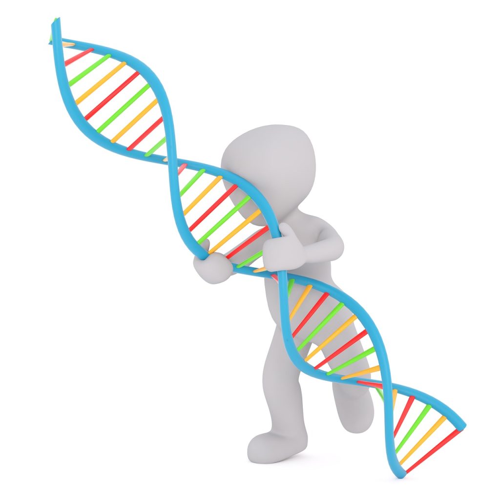 What are stem cells? iasrm
