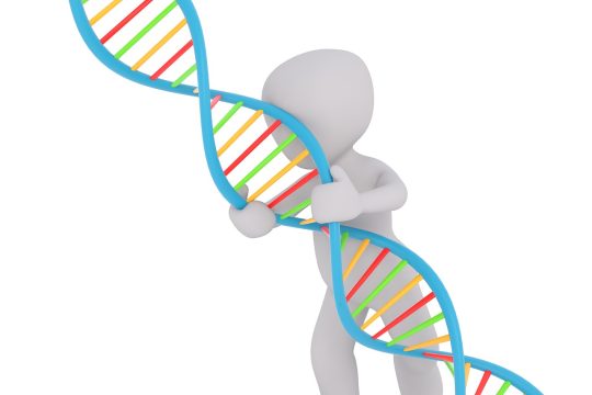 What are stem cells? iasrm
